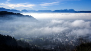 Bregenz unter dem Nebelmeer