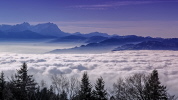 Nebelmeer über dem Rheintal und Bodensee