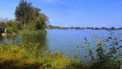 Naturschutzgebiet- Lagune