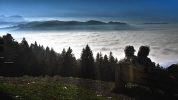 Eichenberg bei Lindau- Über dem Nebel